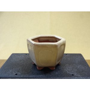 画像1: 2号/六方切立額入/クリーム
