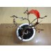 画像3: 十月桜(4) (3)