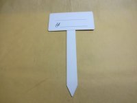 T型プライスカード(小)