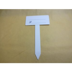 画像1: T型プライスカード(小)