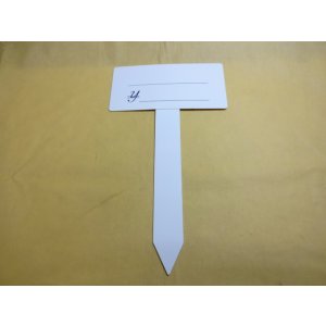 画像1: T型プライスカード(大)
