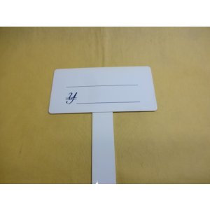 画像2: T型プライスカード(小)