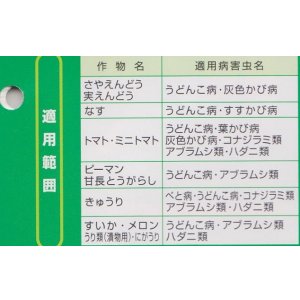 画像2: サンヨール乳剤 100ml