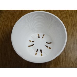 画像3: セラアート平鉢15号(白)