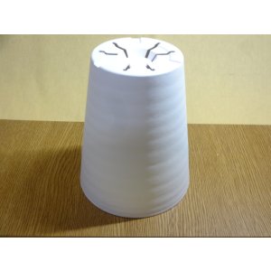 画像4: セラアート長鉢5寸(白)