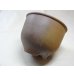 画像2: 伝市鉢 のぼり窯コウロ型3.5号(12) (2)