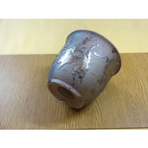 画像3: 金彩4号エビネ鉢