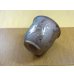 画像3: 金彩4号エビネ鉢 (3)