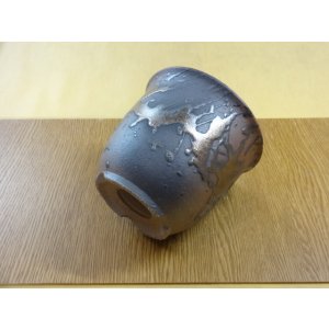 画像4: 金彩4号エビネ鉢