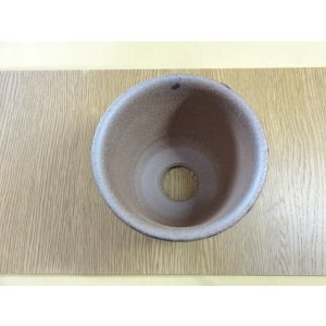 画像5: 金彩4号エビネ鉢
