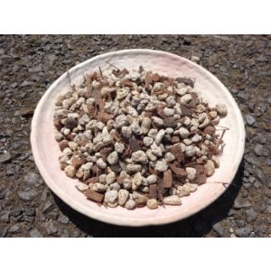画像3: シンビジウム 洋ラン専用培養土(12L)