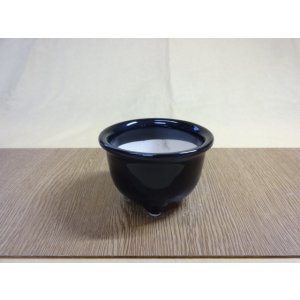画像1: 岩松鉢 3.5号