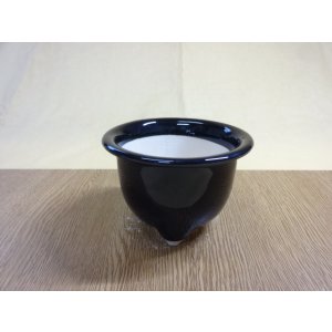 画像1: 岩松鉢 4号