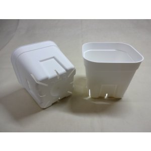 画像3: プレステラ 105型(白/800入)