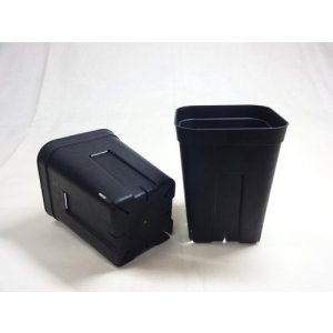 画像3: プレステラ 深鉢120型(500入)