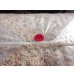 画像3: ニュージーランド産水苔5A(3kg) (3)