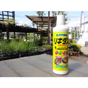 画像1: 植物用活力液 リキダス 450ml