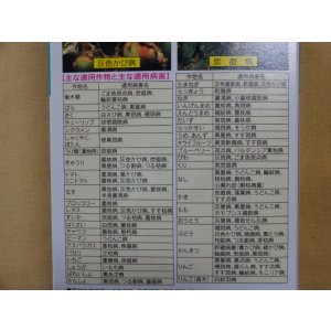 画像2: GFベンレート水和剤(0.5g×10袋入)