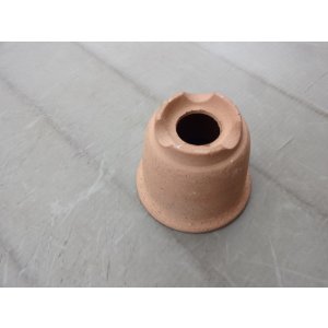 画像3: 荒泥ウチョウラン鉢 3.5号