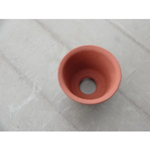 画像2: 朱荒泥ウチョウラン鉢 3号