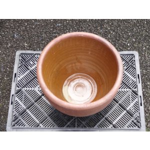 画像2: 睡蓮鉢(20)