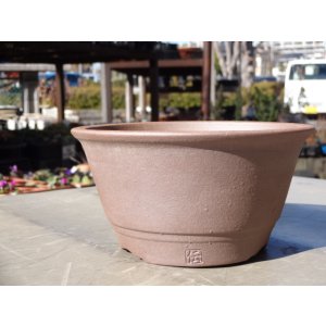 画像1: 伝市鉢 丸一型4.5号