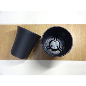 画像2: ミニラン鉢 4.5号