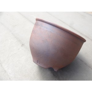 画像4: 伝市鉢 コウロ型5号