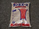商品アップのお知らせ