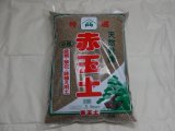 商品アップのお知らせ