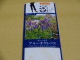 商品アップのお知らせ