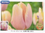 商品アップのお知らせ