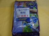 商品アップのお知らせ