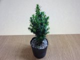 商品アップのお知らせ
