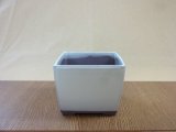 商品アップのお知らせ