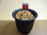 商品アップのお知らせ