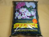 商品アップのお知らせ
