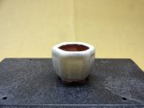 商品アップのお知らせ