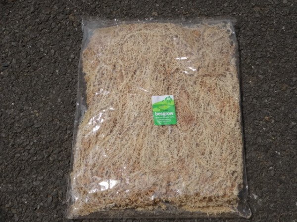 画像1: ニュージーランド産水苔 100g (1)