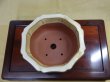 画像2: 中国鉢 輪花圏足(色/クリーム) (2)