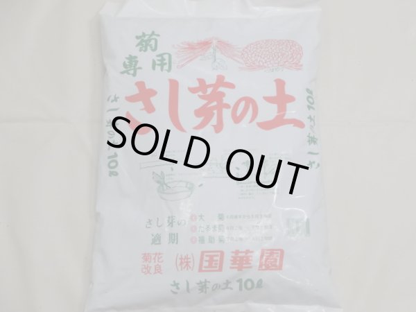 画像1: 国華園 菊専用さし芽の土(10ℓ) (1)