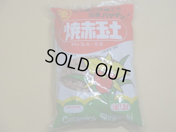 画像1: 焼赤玉土 信楽蘭土 大粒(2ℓ) (1)