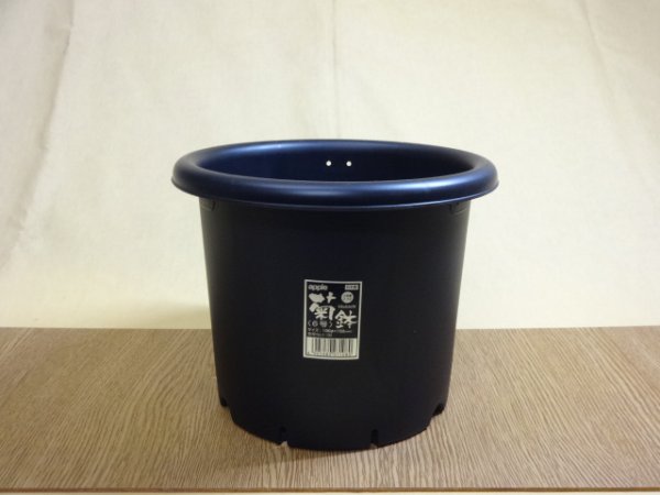 画像1: 菊プラ鉢/6号 (1)