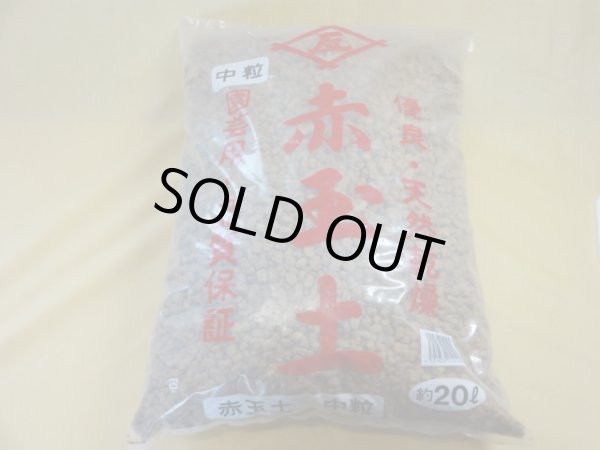 画像1: 赤玉土 中粒(2L) (1)