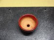 画像2: 鶏血小鉢(5) (2)