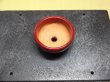 画像2: 鶏血小鉢(7) (2)
