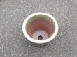 画像4: 伝市鉢 型ラン鉢天然土灰釉3.5号(2) (4)