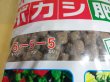 画像2: ボカシ肥料 大粒 10kg (2)