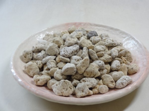 画像2: 軽石砂 大粒(14L) (2)