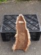 画像2: コルク半丸(28) (2)